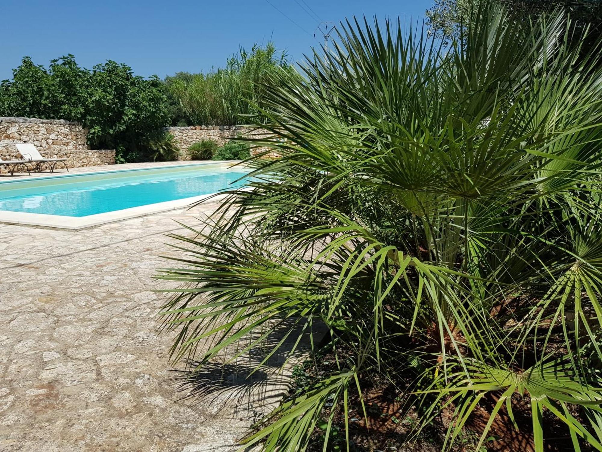 Trulli Aurasia أوستوني المظهر الخارجي الصورة
