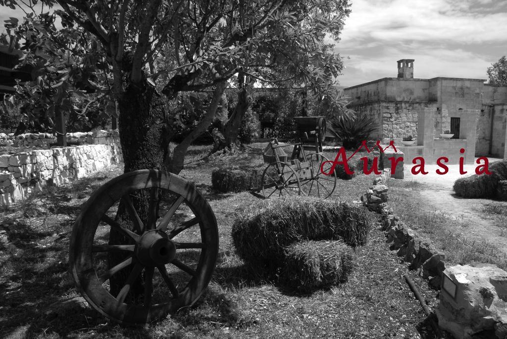 Trulli Aurasia أوستوني المظهر الخارجي الصورة