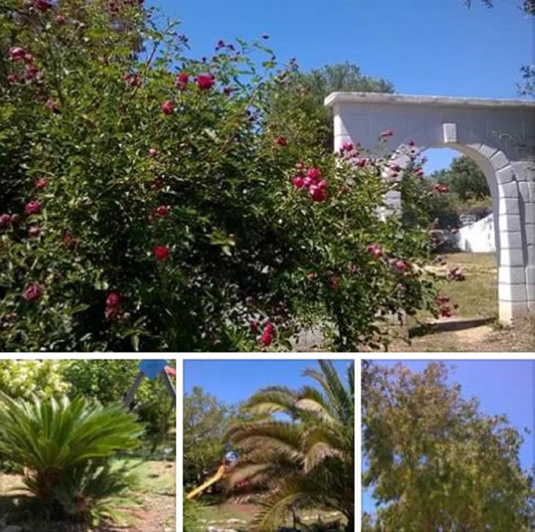 Trulli Aurasia أوستوني المظهر الخارجي الصورة