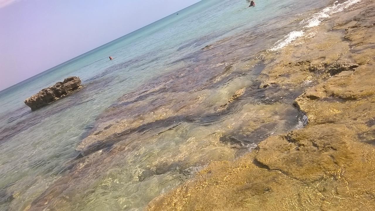 Trulli Aurasia أوستوني المظهر الخارجي الصورة