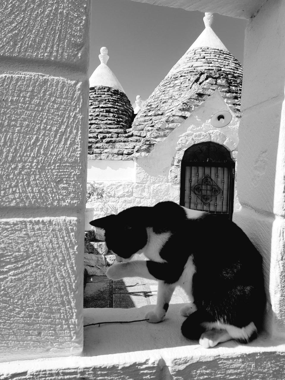 Trulli Aurasia أوستوني المظهر الخارجي الصورة